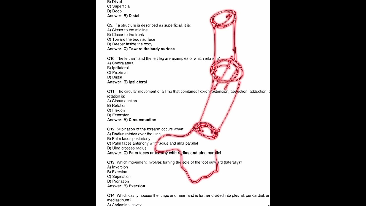 MCQ on lecture (1)