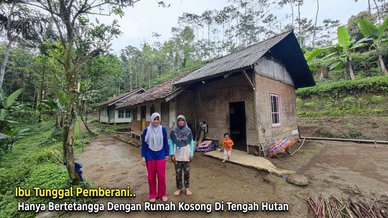 Merinding.. Hanya Bertetangga Dengan Rumah Kosong Seorang Janda Tinggal Menyendiri di Hutan