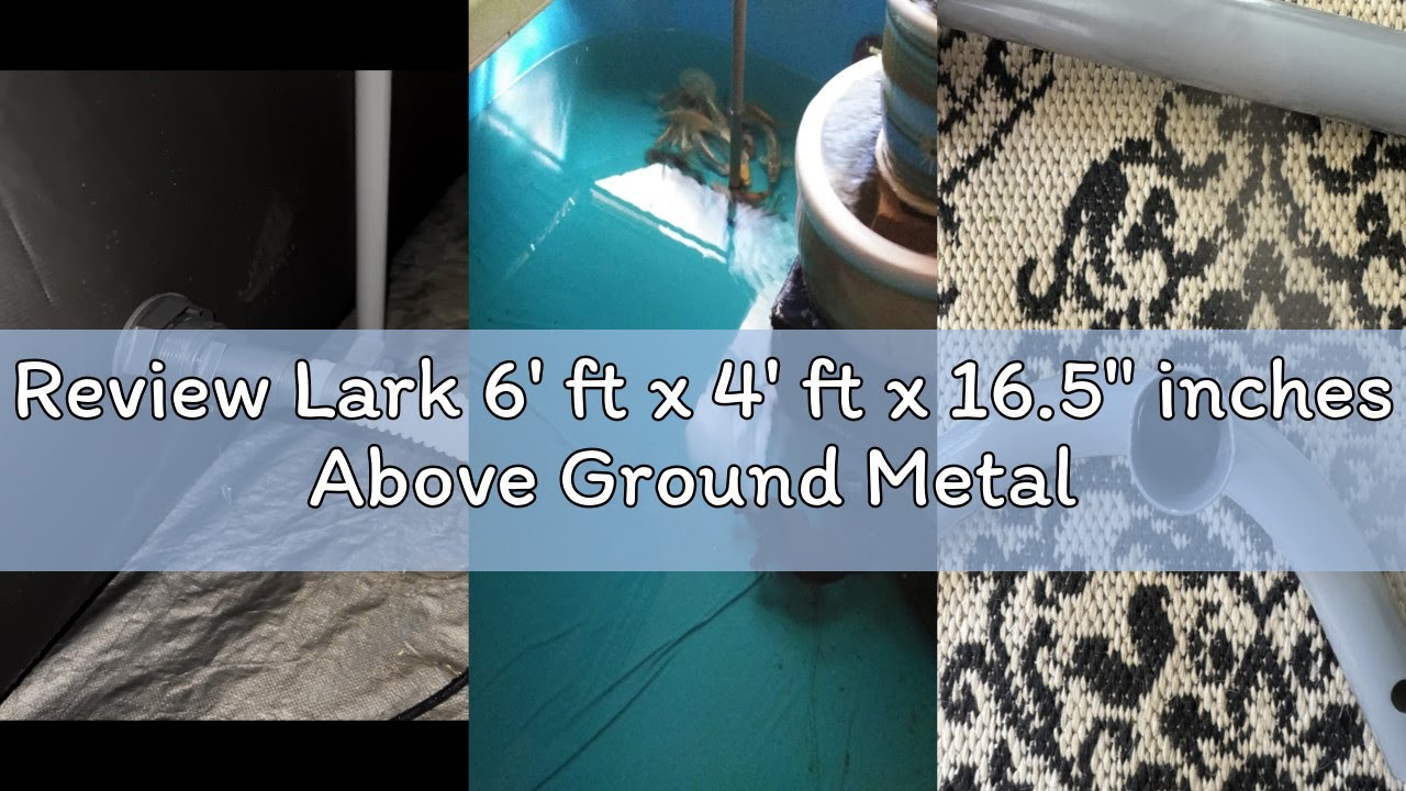 Review Lark 6' ft x 4' ft x 16.5