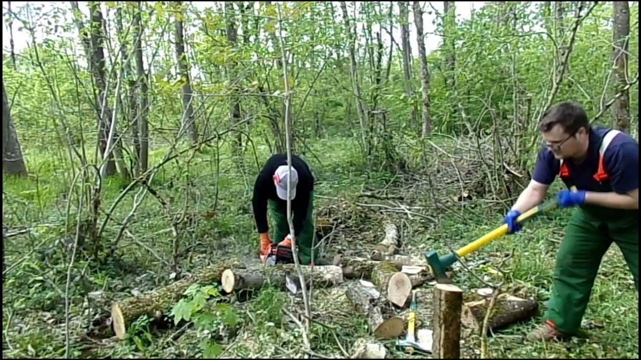 Le Lorrain et l'Alsacien au bois épisode 4