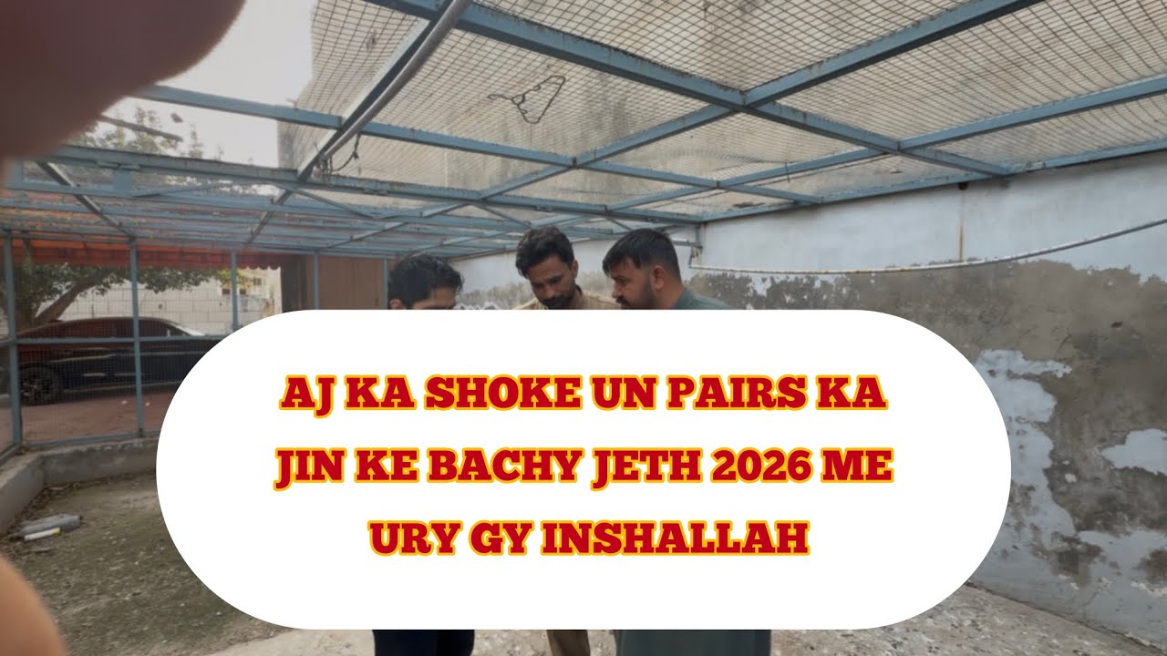 AJ KA SHOKE ||UN PAIRS KA JIN KE BACHY INSHALLAH || JETH 2026 ME URY GY LAKHON KE MA BAP KA BE SHOKE