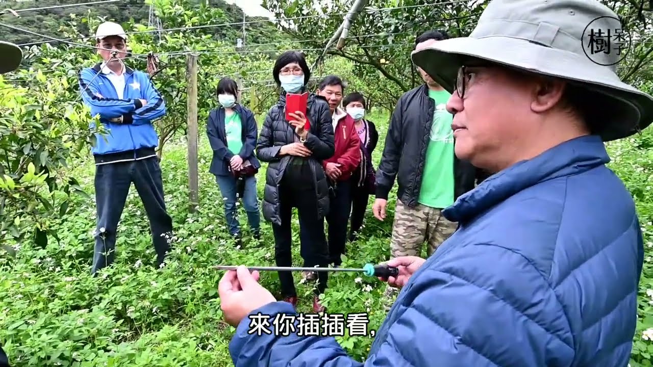 【樹呆子小學堂】一起來上果園戶外課1