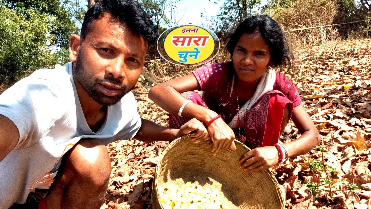 इतना सारा चुने | मां की रिएक्शन 😀 | Kisan Family Vlogs