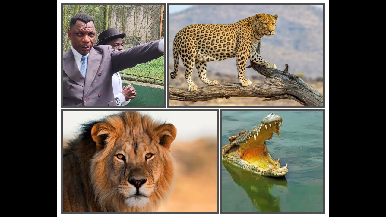 APOTRE GEDEON KATENDE VISITE LE ZOO D'ABIDJAN