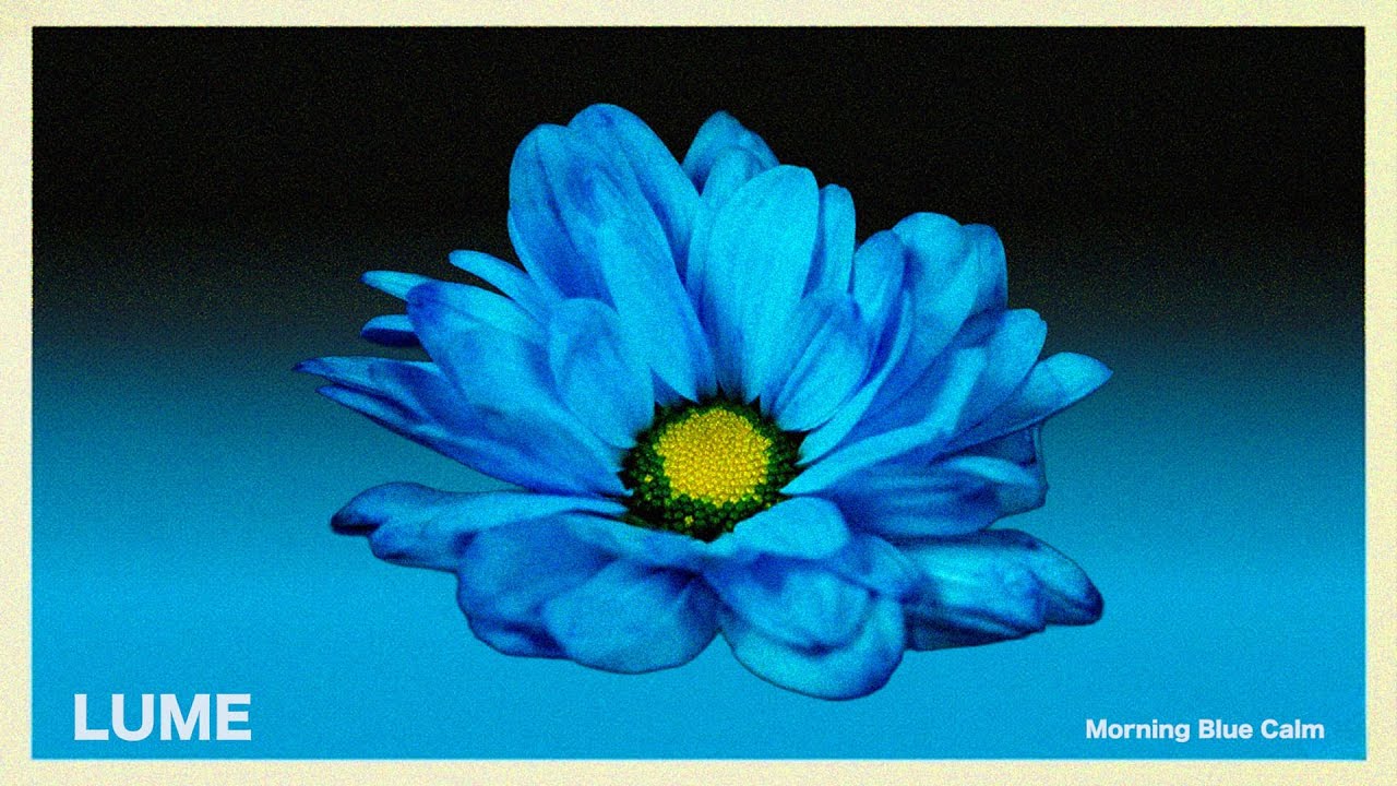 Morning Blue Calm  | Chill House for a Positive Morning Vibe
