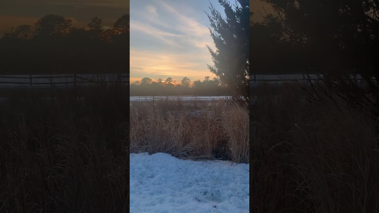 Sweet Bayou Lou is live! Sunset Sessions