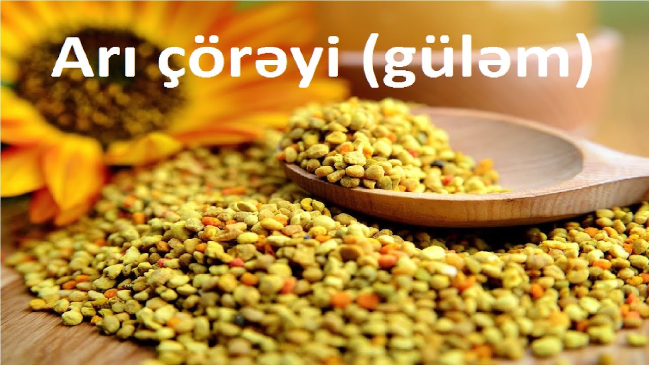 Arı çörəyi və ya güləm nələrə qadirdir?