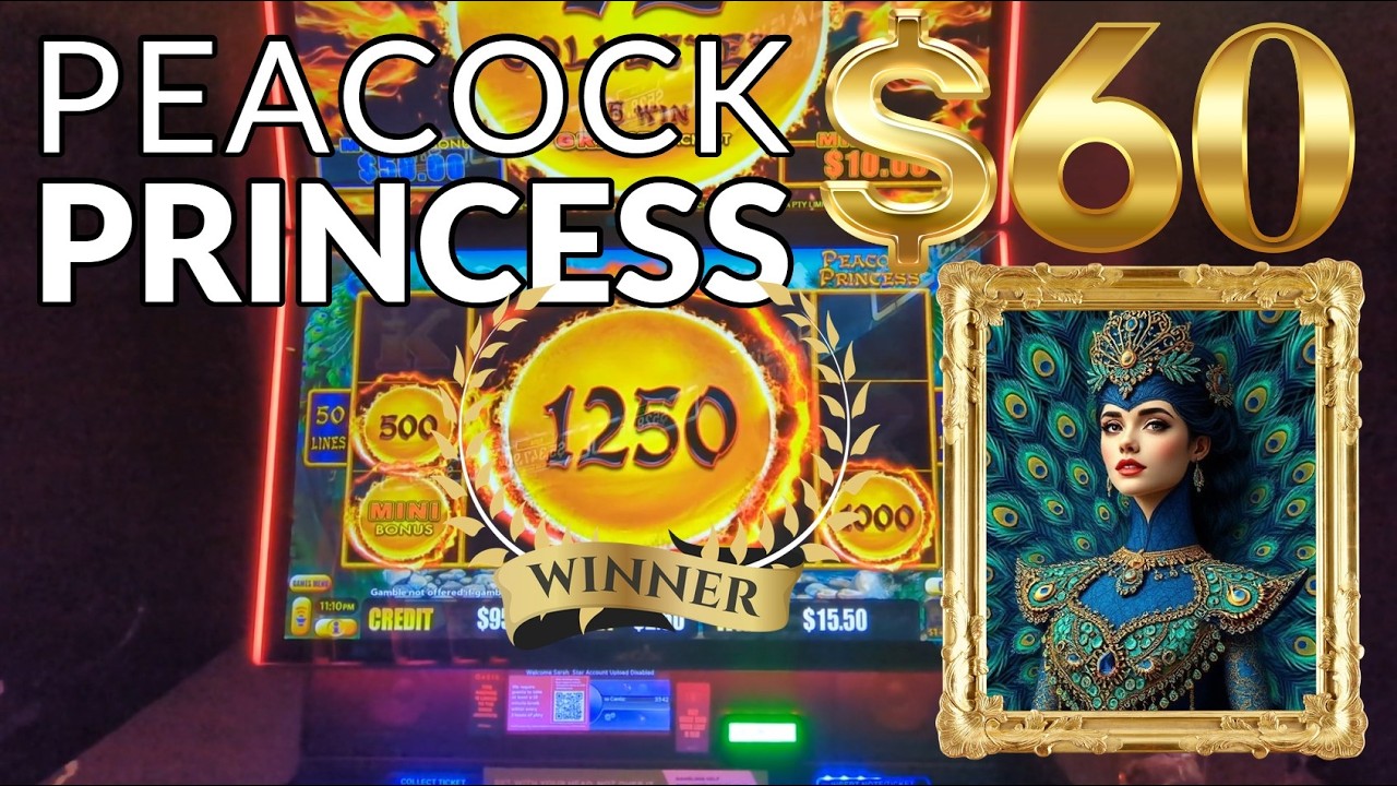 🤑 Peacock Princess Slot Machine BIG WIN! 🦚 $60 Feature BONUS | Australian CASINO Gameplay 🎰
