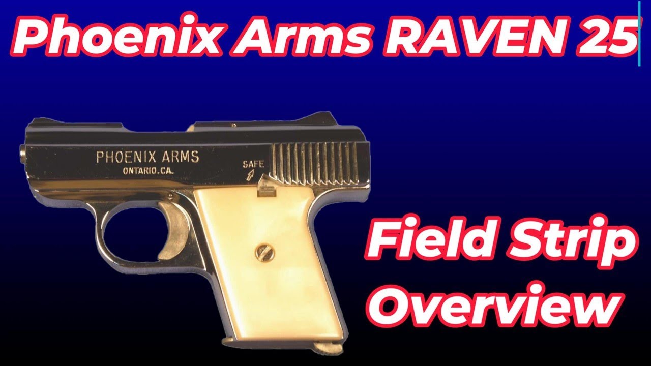 Обзор полевой полосы Phoenix Arms Raven 25