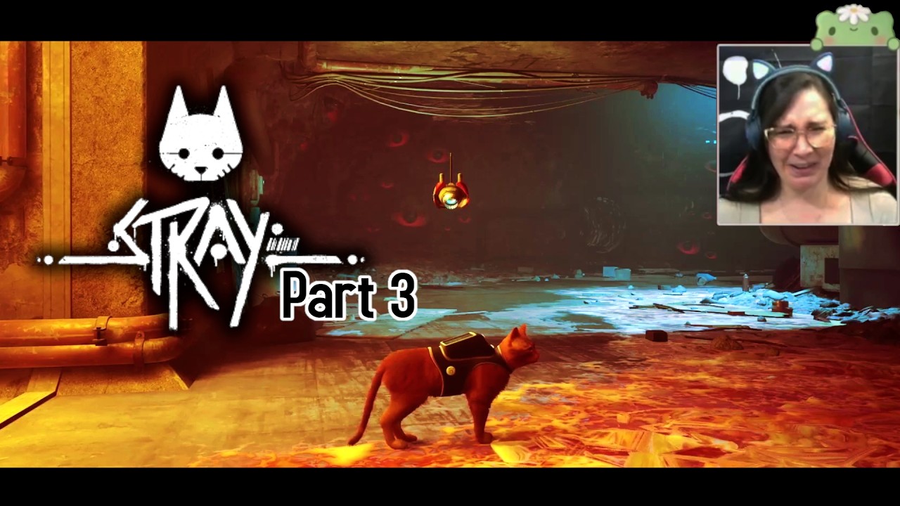 I spy with my ginormous eye... || Stray [3]