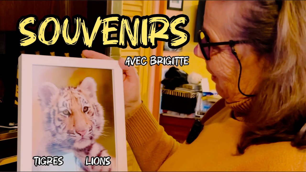 Une experte des TIGRES nous partage ses souvenirs !