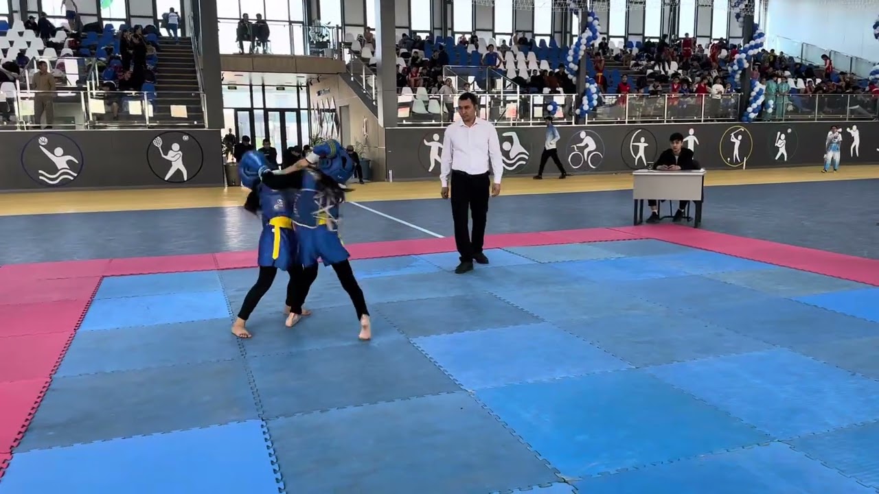 Wushu