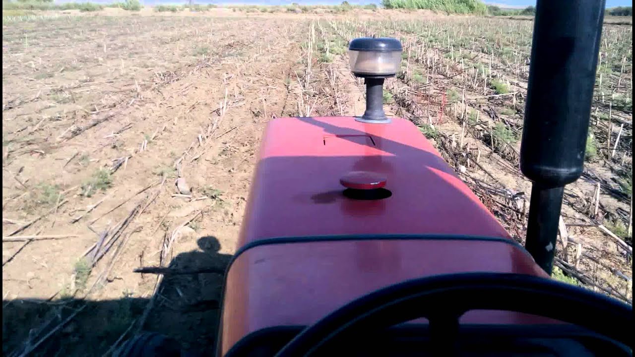 Massey Ferguson 286 gold  goble sürümü part 2 ADANA YUMURTALIK