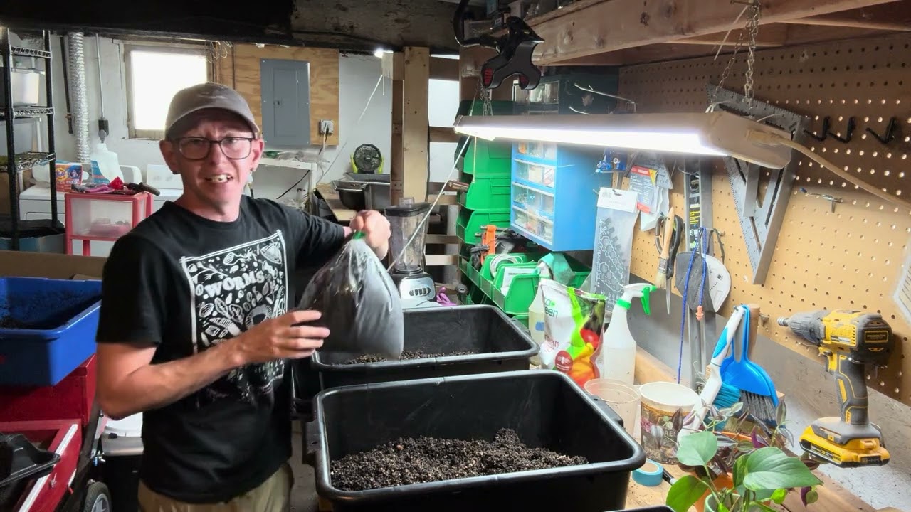 Experiment: Side-By-Side Comparison: Ro’s Wigglers Worm Castings vs Lowe’s Worm Castings