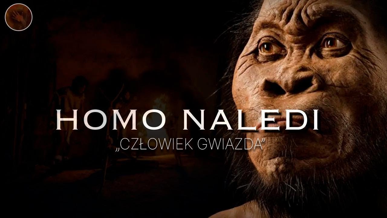 Homo Naledi – tajemnice 'gwiezdnego człowieka' | Dokument o prehistorycznych ludziach