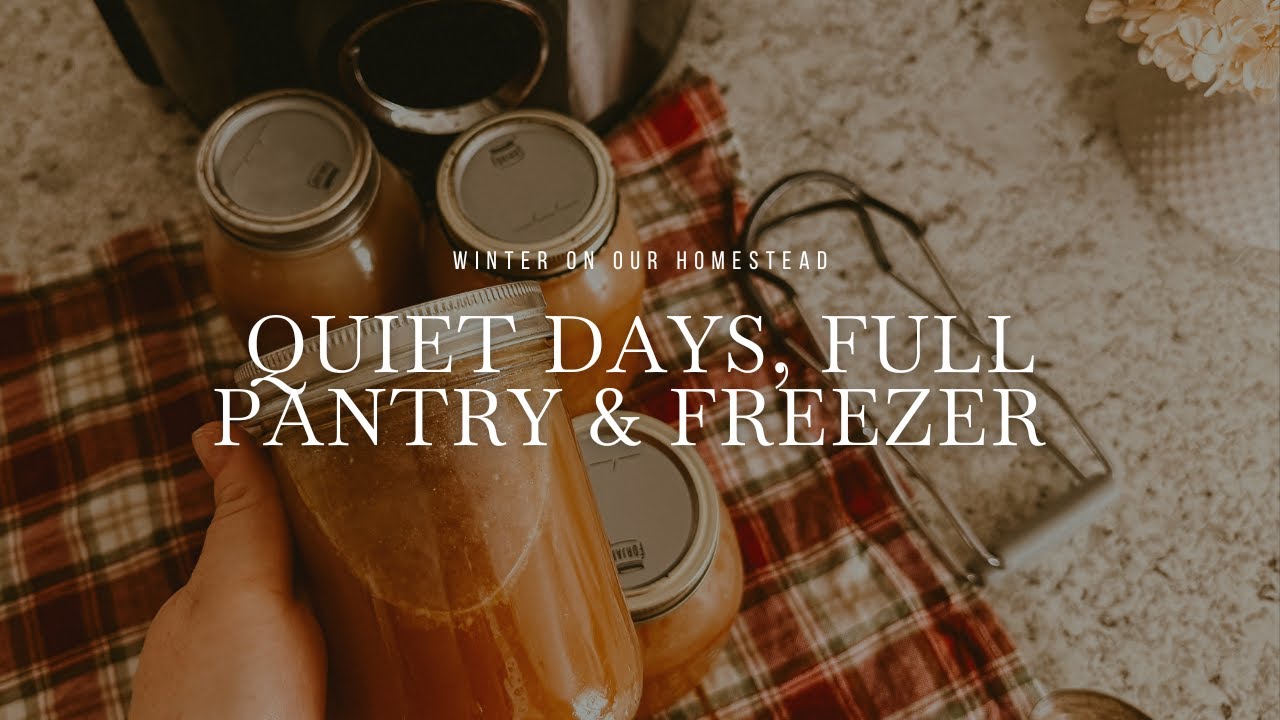 Winter on Our Homestead | Quiet Days, Full Pantry & Freezer