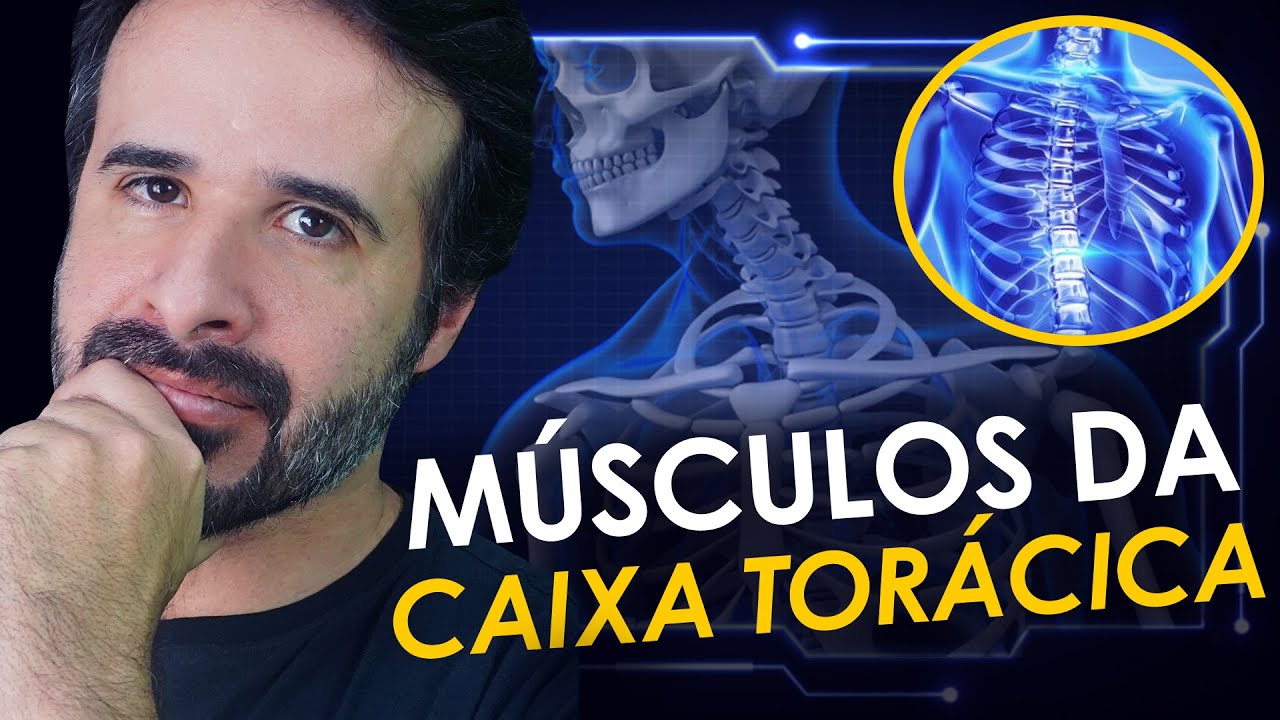 MÚSCULOS DA CAIXA TORÁCICA EU TENHO CERTEZA QUE MUITOS DE VOCÊS NÃO CHEGARAM A ESTUDAR