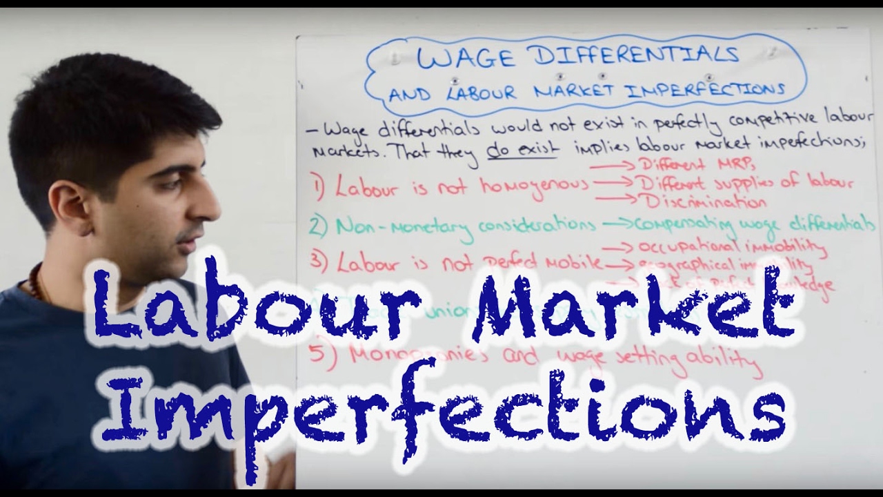 Wage Differentials and Labour Market Imperfections