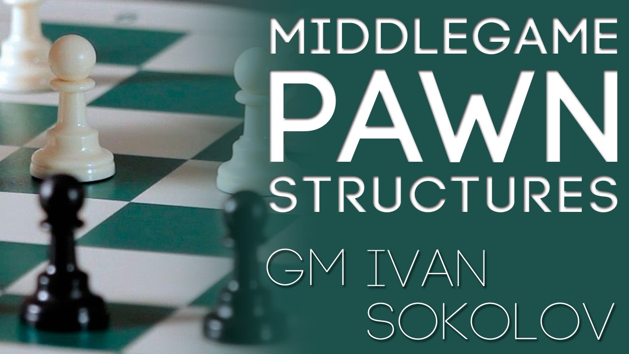 Watch how a TOP Grandmaster describes a complex position! - GM Ivan Sokolov  (GingerGM)