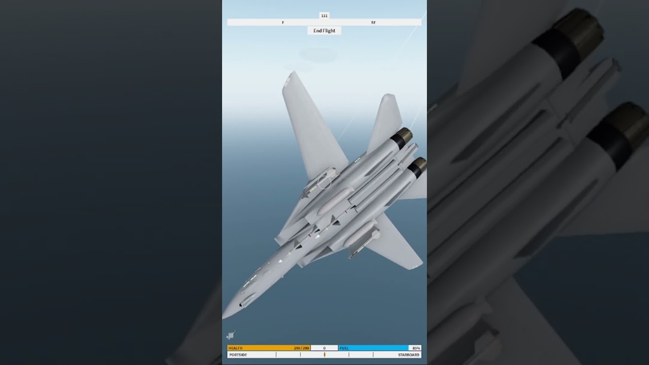 F-14 takes revenge! | Neo Warfare X | #roblox #usairforce #aviation #jet