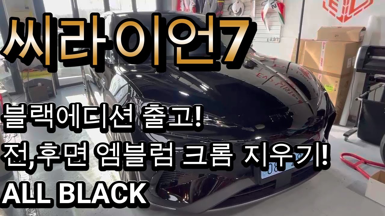 씨라이언7 블랙색상 크롬지우기! 블랙에디션 작업!