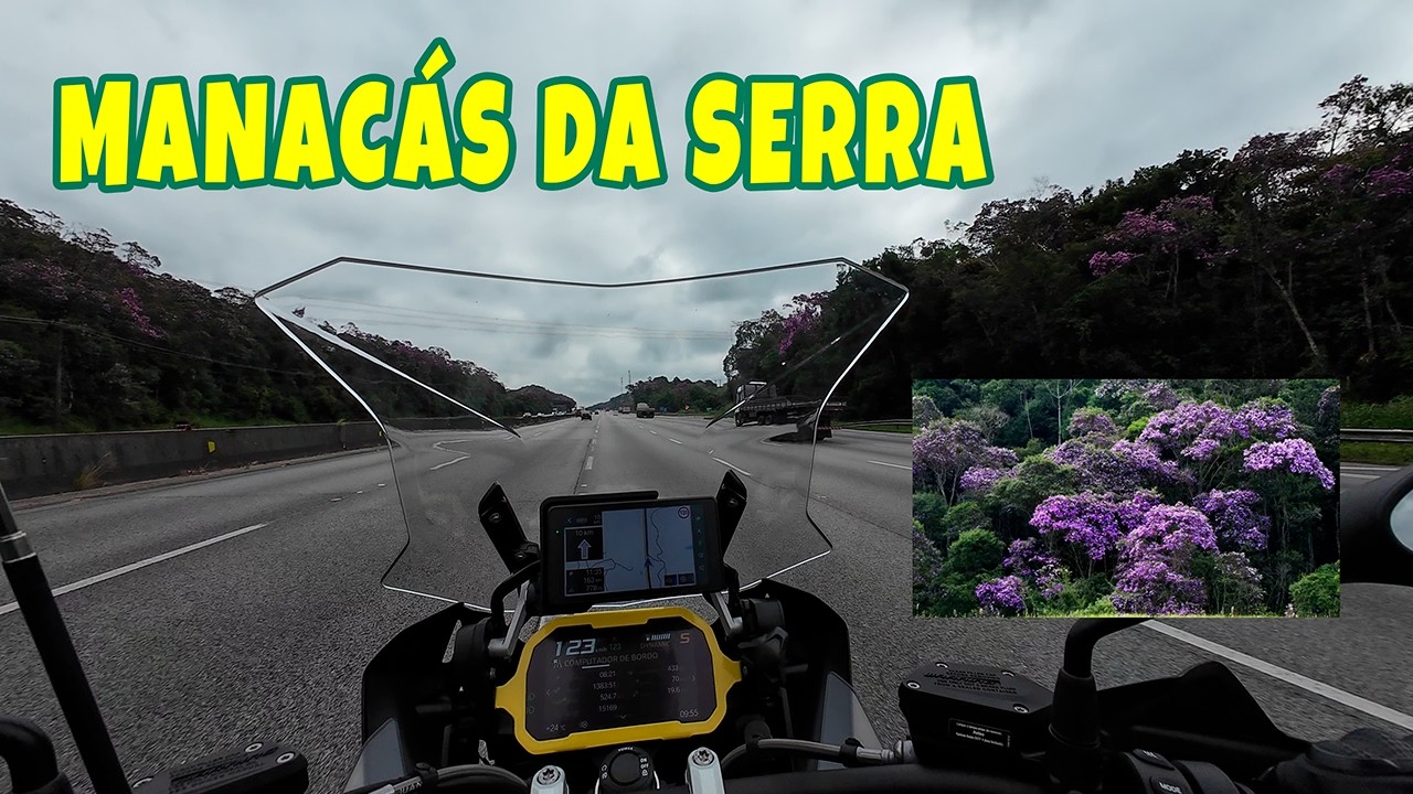 Serra Florida