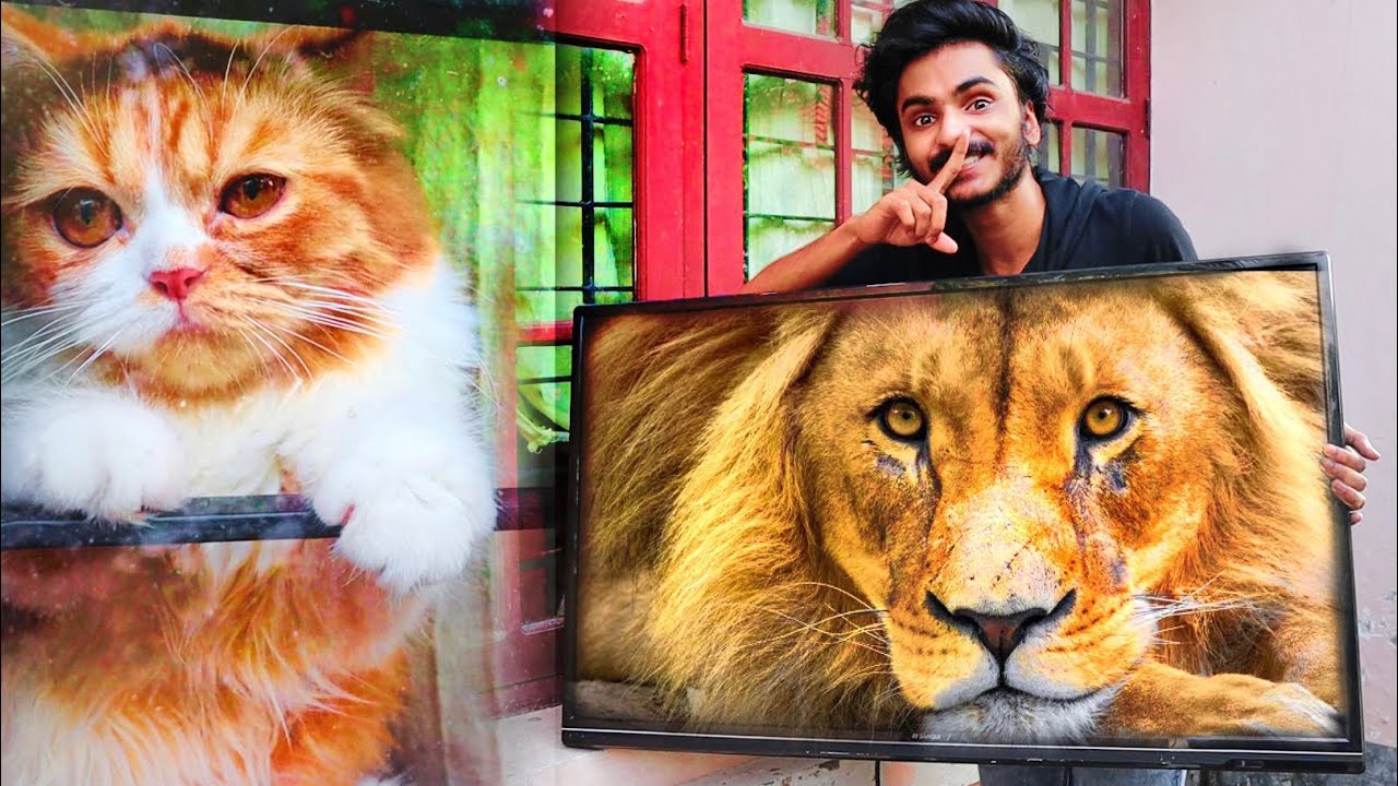 LAZIYയെ PRANK ചെയ്തു 😂 നമ്മെൽ വിജാരിച്ചത് പോലെയല്ല😡😡 UNBOXINGDUDE l