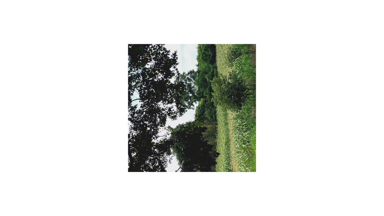 다 가버린 초록 계절은 (demo)