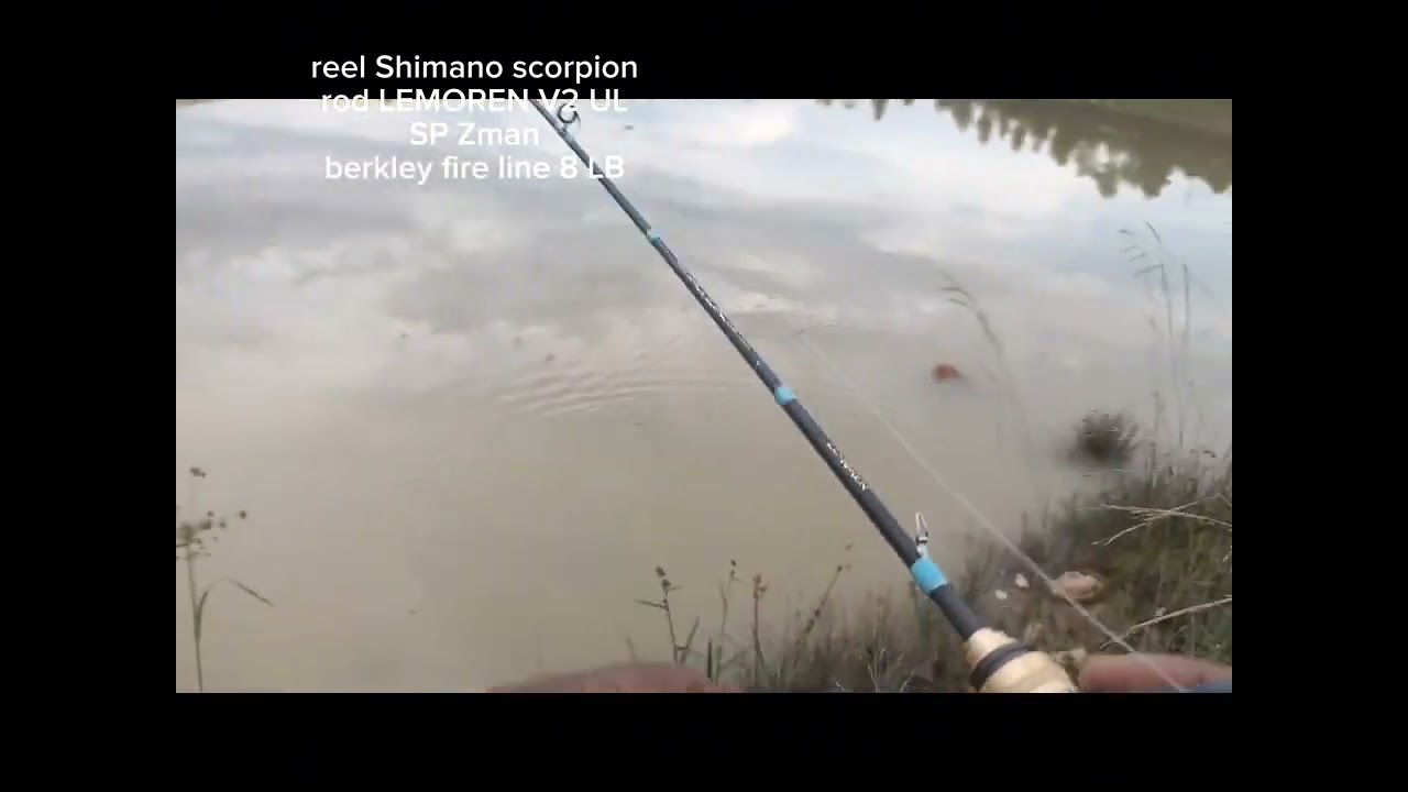 review rod lemoren V2