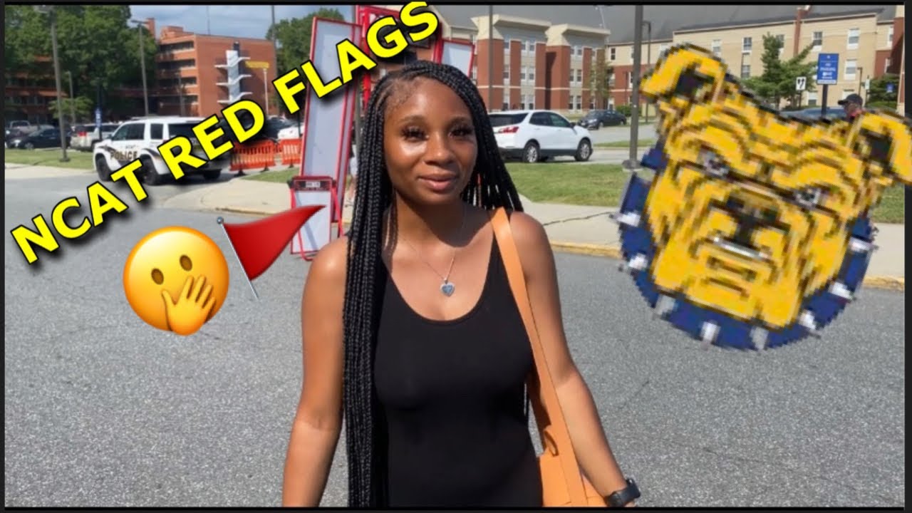 Red Flags At NCAT *PUBLIC INTERVIEW*