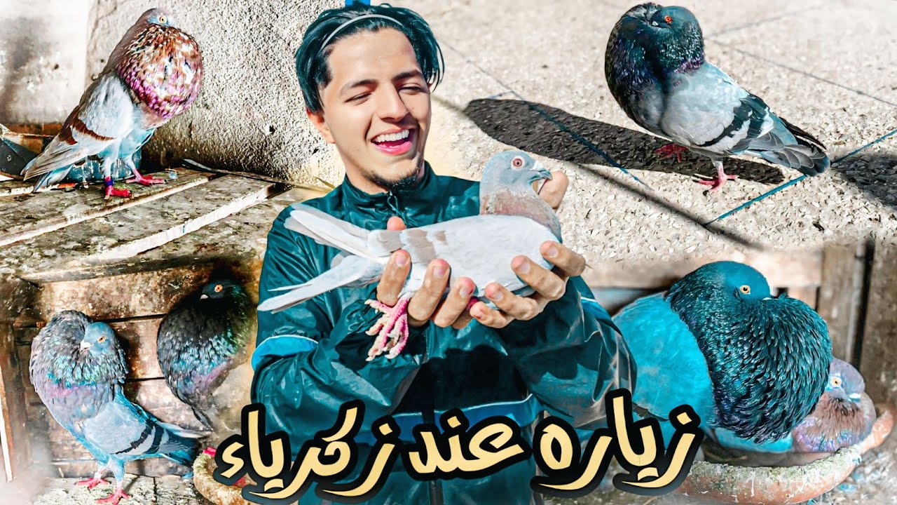 زياره عند حمام زكرياء 🔥