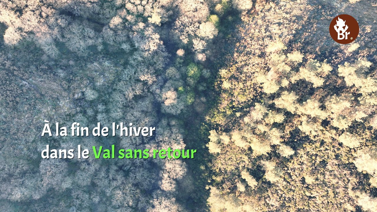 A la fin de l'hiver dans le Val sans retour en Broc&eacute;liande