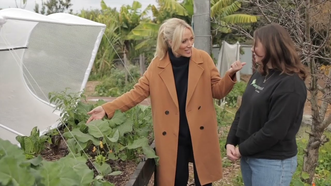 Vegepod on Weekend Sunrise 2023