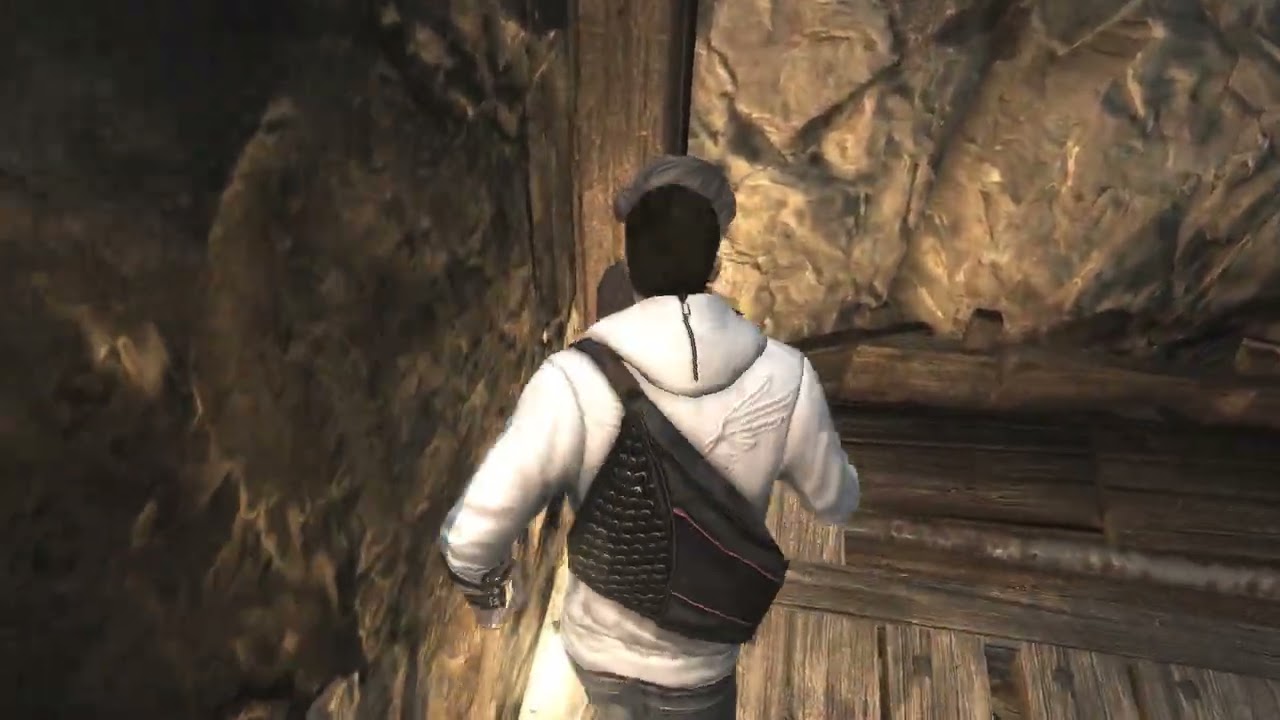 Assassin's Creed  Brotherhood 2026 баг