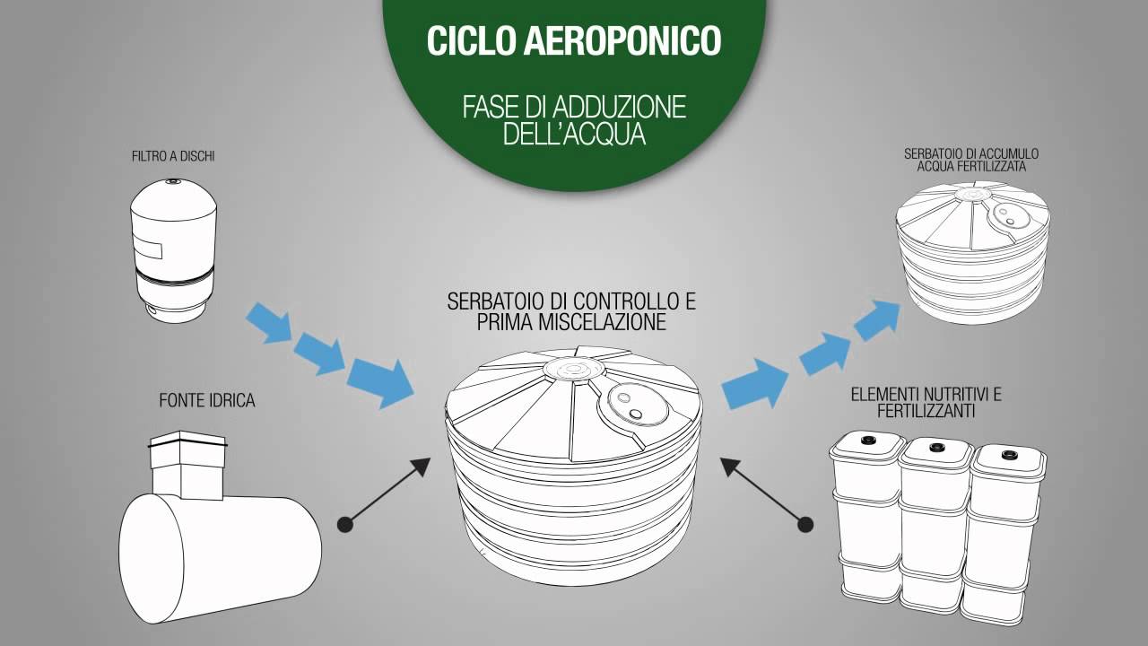 AEROPONICA: un nuovo modo di coltivare