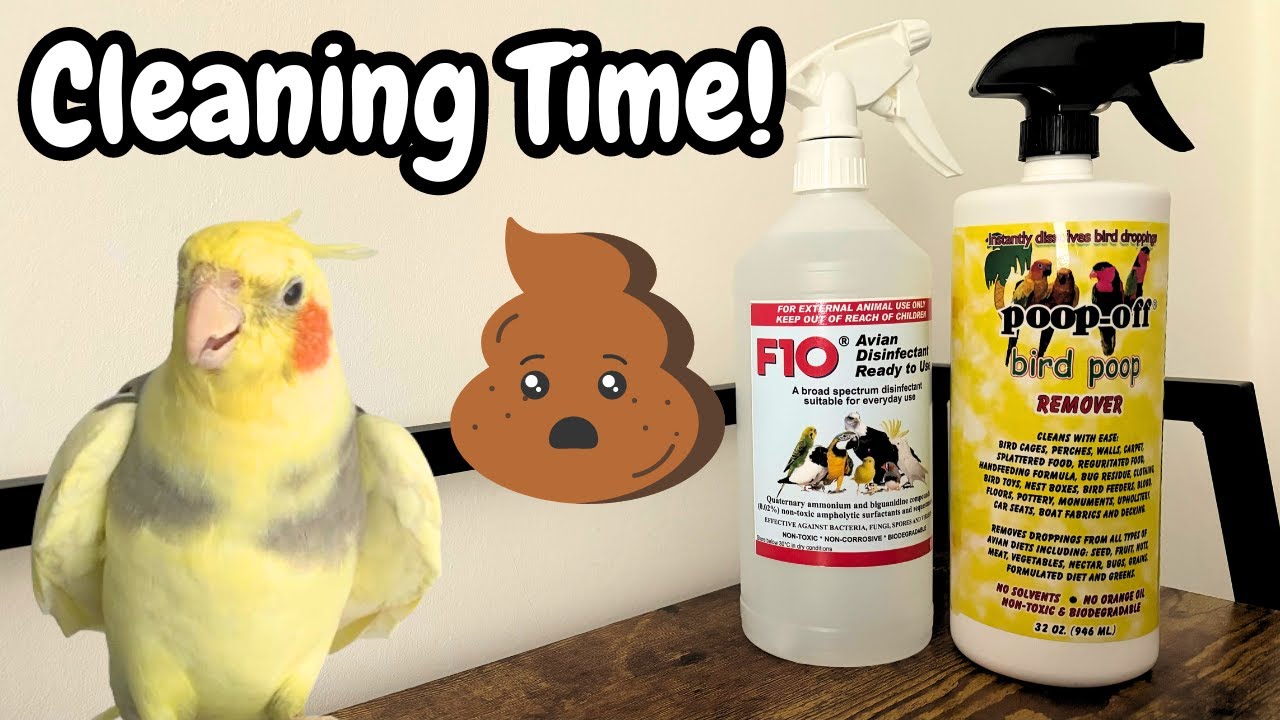 Cleaning Bird Cages + Mess | Parrot Cleaning Products | TheParrotTeacher AD