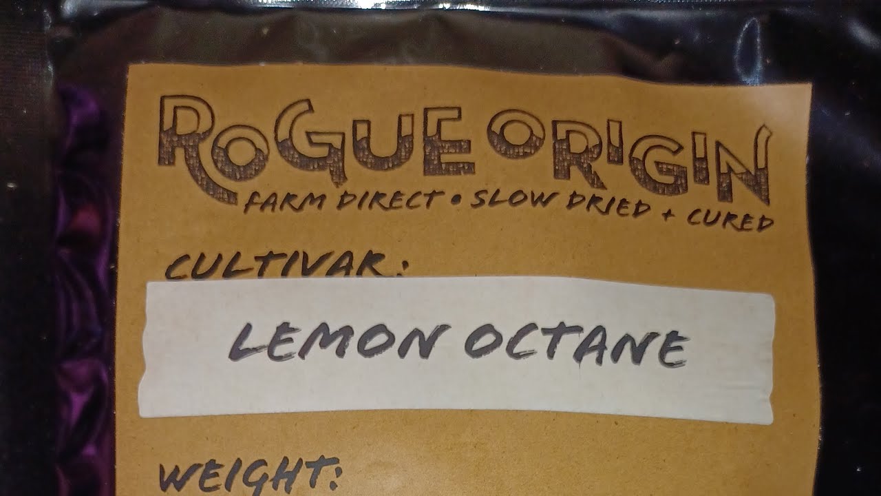 Lemon Octane, @rogueorigincbd (is it good?)