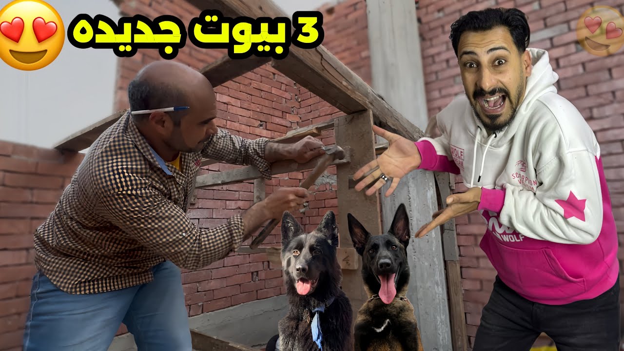 عملت بيوت جديده لكلابي الجديده😍