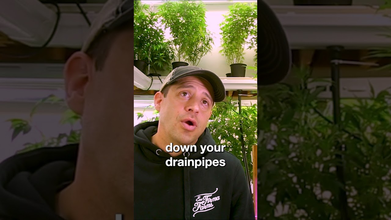 Mistakes Made Him Better - Jesse Peters On Cannabis Growing