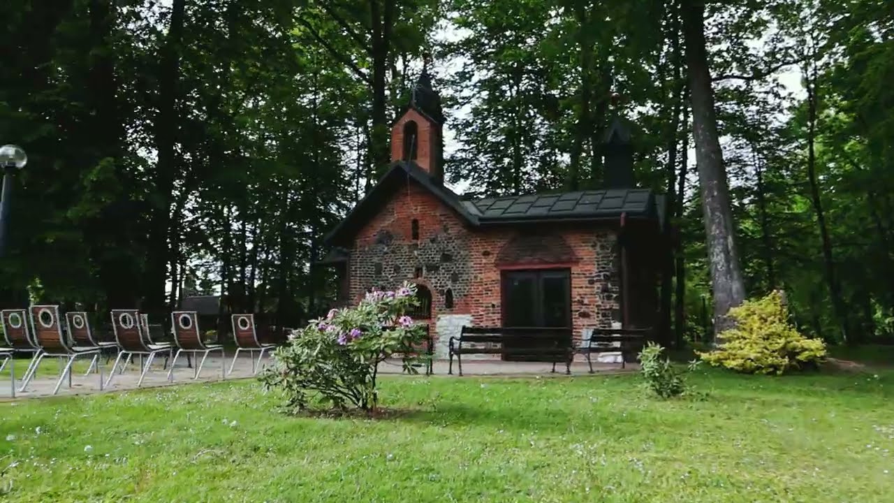 Dom Vincentinum - Ogród domu w pełnym rozkwicie