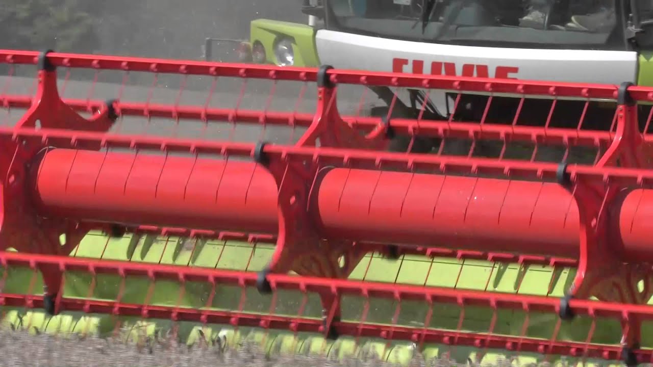 Claas nouvelle coupe vario