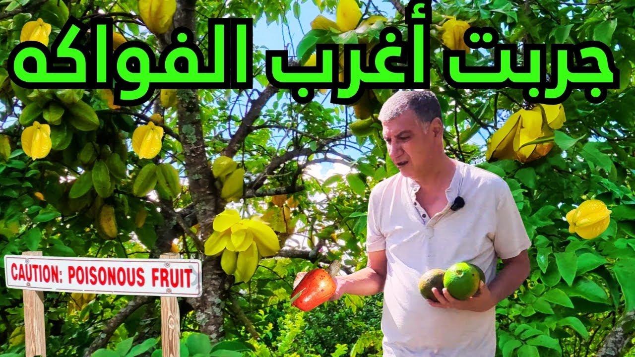 جولة فريدة في جنة الفواكه والبهارات بريد لاند ميامي | Exotic Fruits & Spices 🥭🥥