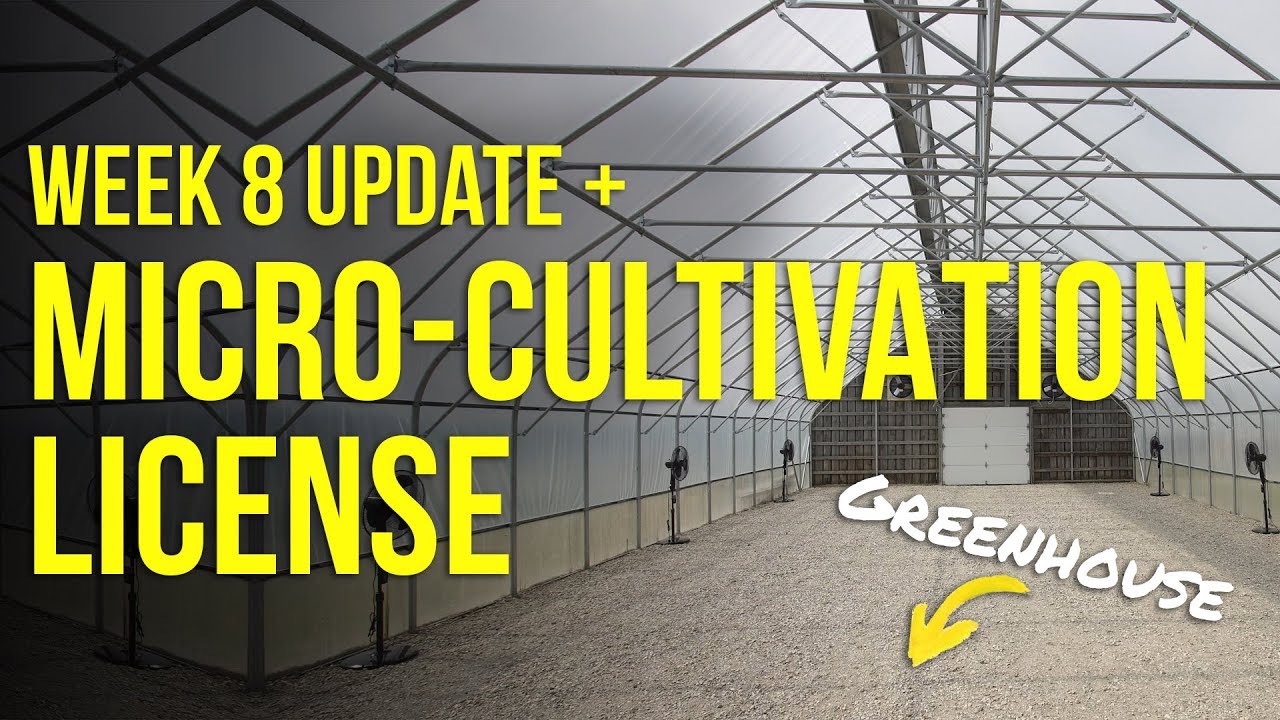 We're Getting a Micro-Cultivation License in Canada... | Fastbuds Week 8 Update