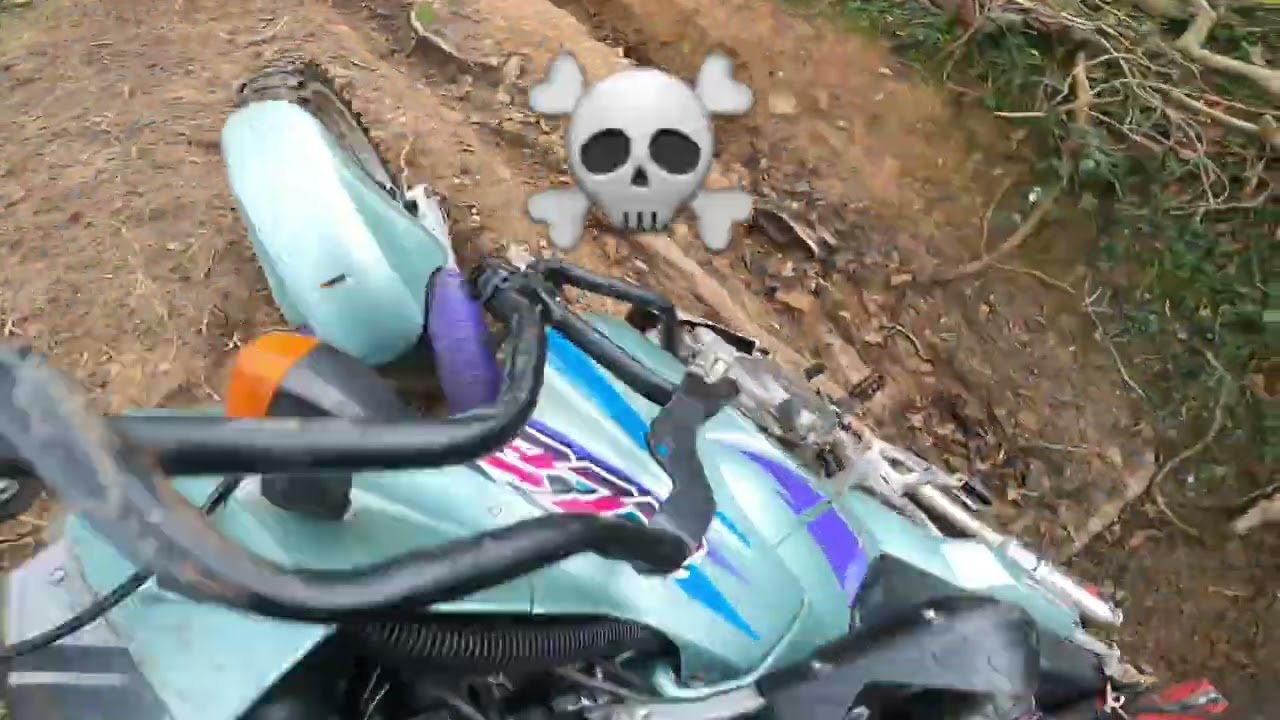 Excellent session on middleweight adv bikes | 1994 Kawasaki KLE 500 | 2023 Honda CB500X
