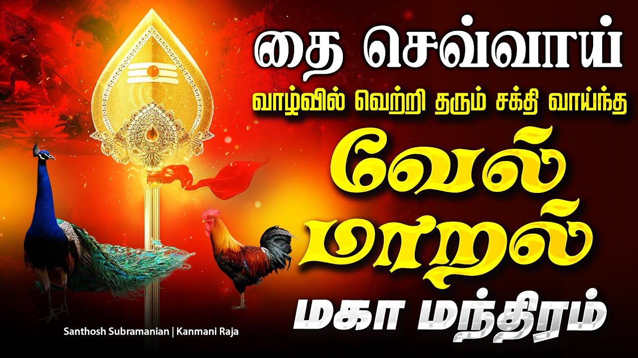 🔴LIVE | தை செவ்வாய்க்கிழமை மிகவும் சக்தி வாய்ந்த திருச்செந்தூர் வேல் மாறல் மகா மந்திரம் Murugan Song