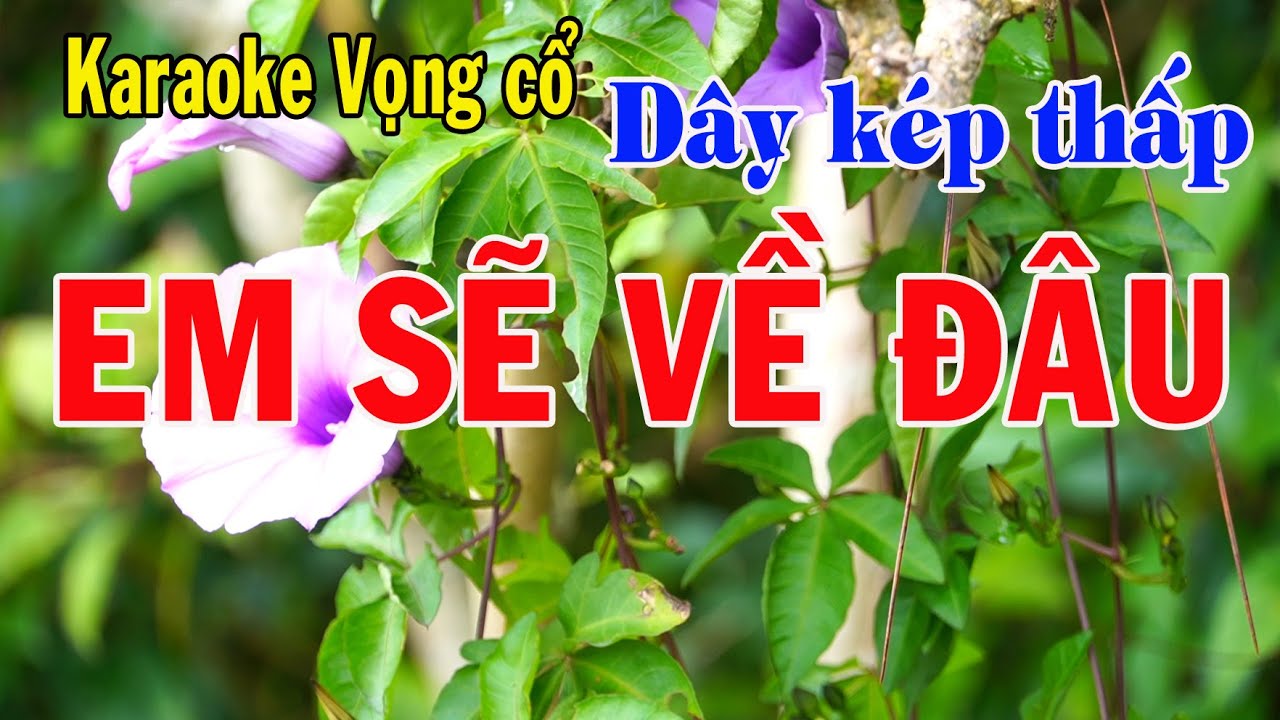 Karaoke vọng cổ EM SẼ VỀ ĐÂU - DÂY KÉP THẤP