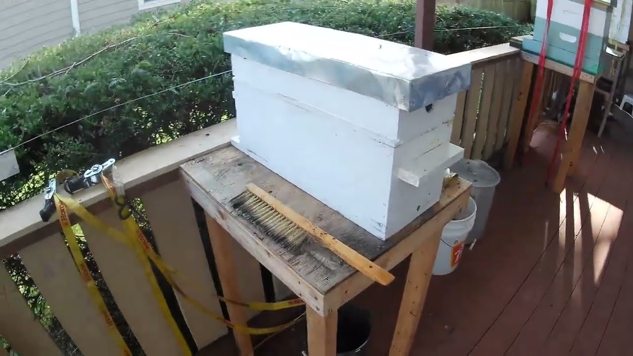 G&H Honey Bees - Reducing the space in my nuc