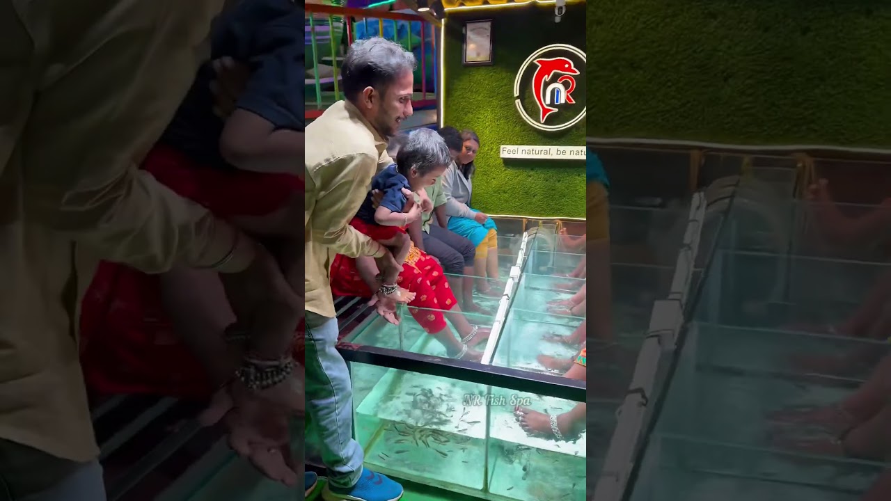 NR Fish Spa🥰 Besant Nagar beach and Kovilambakkam +919952085544 #youtubeshorts #spa #cute #fish #yt