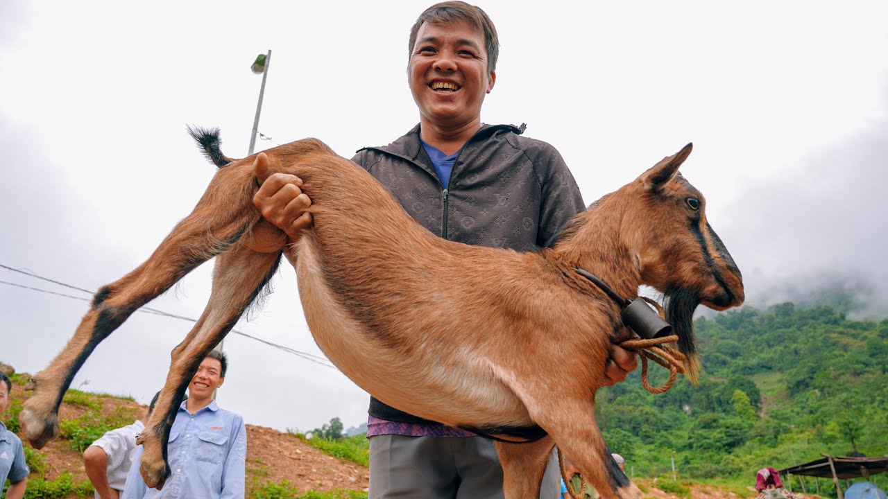 SAPA TV | THƯỞNG THỨC BÁT PHỞ ĐÙI GÀ GIÁ 200K TẠI CHỢ PHIÊN CỐC LY