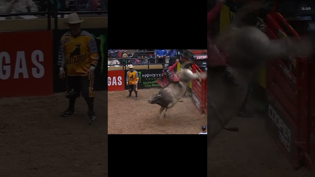 Bull 🐂 riding | Bull racing #bullriding #bullracing #rodeo ##rodeosport #bullrider #cow #shorts